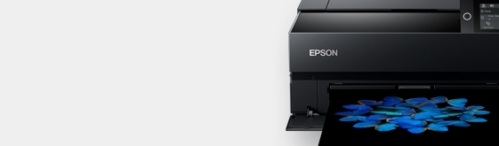 rip software for epson r3000 dtg printer
