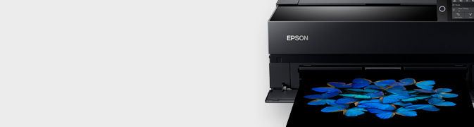 Epson SC-P900 A2