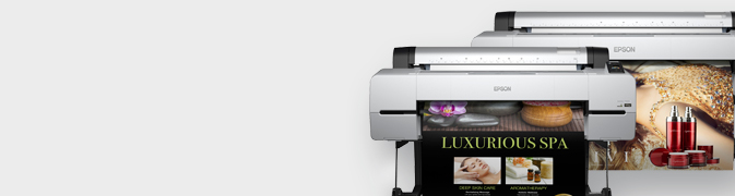 Epson SC-P10000/P20000