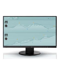 Monitor Eizo Flexscan