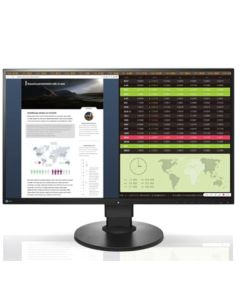 Monitores Eizo Flexscan