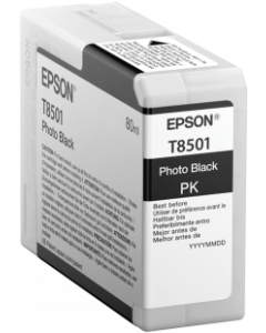 Epson T850100